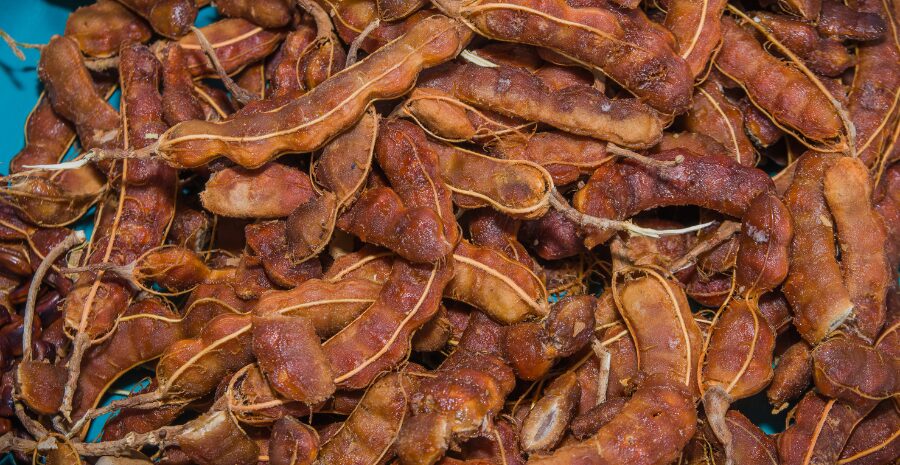 asam jawa untuk sembelit