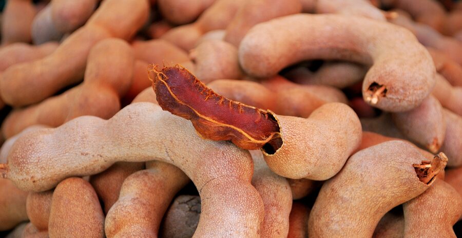 asam jawa vs jeruk nipis