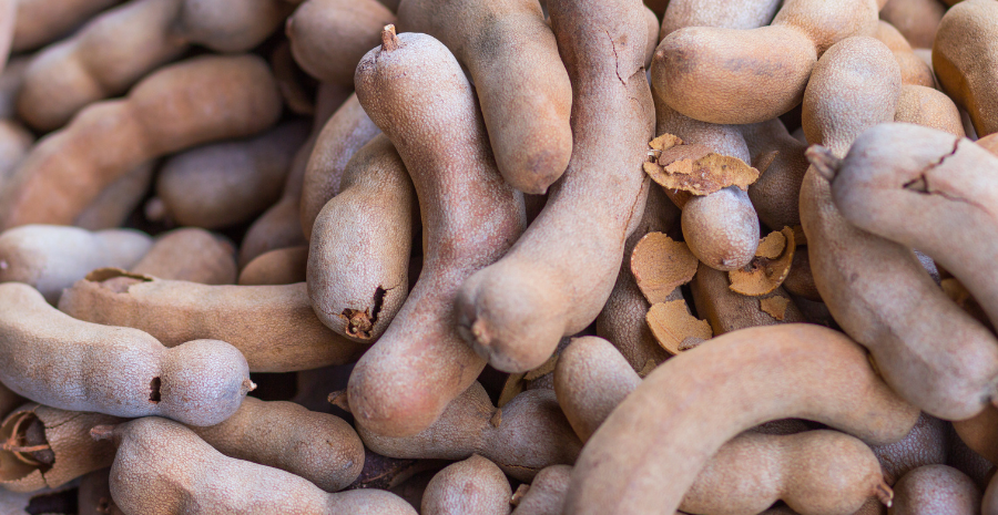 asam jawa meningkatkan imunitas tubuh