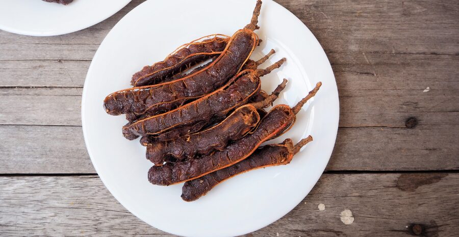 cara menanam pohon asam jawa