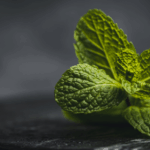 daun mint untuk jerawat dan kulit berminyak