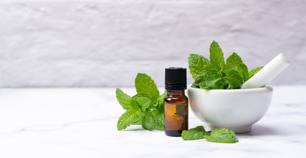 kandungan antioksidan daun mint