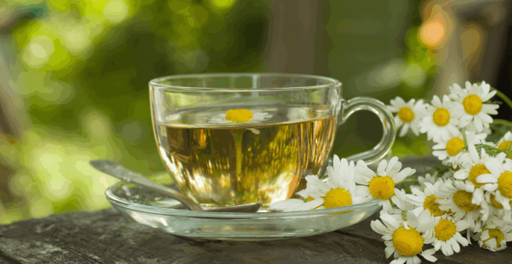 teh pelangsing untuk wanita usia 30-an