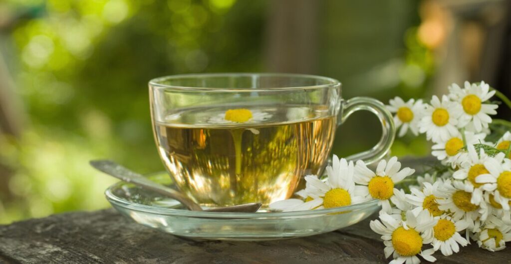 teh pelangsing untuk wanita usia 30-an