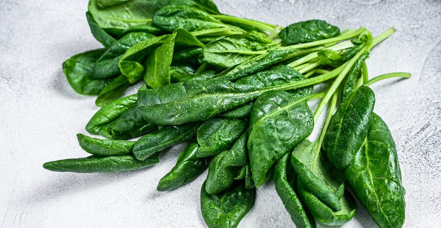 produk makanan dari daun bayam