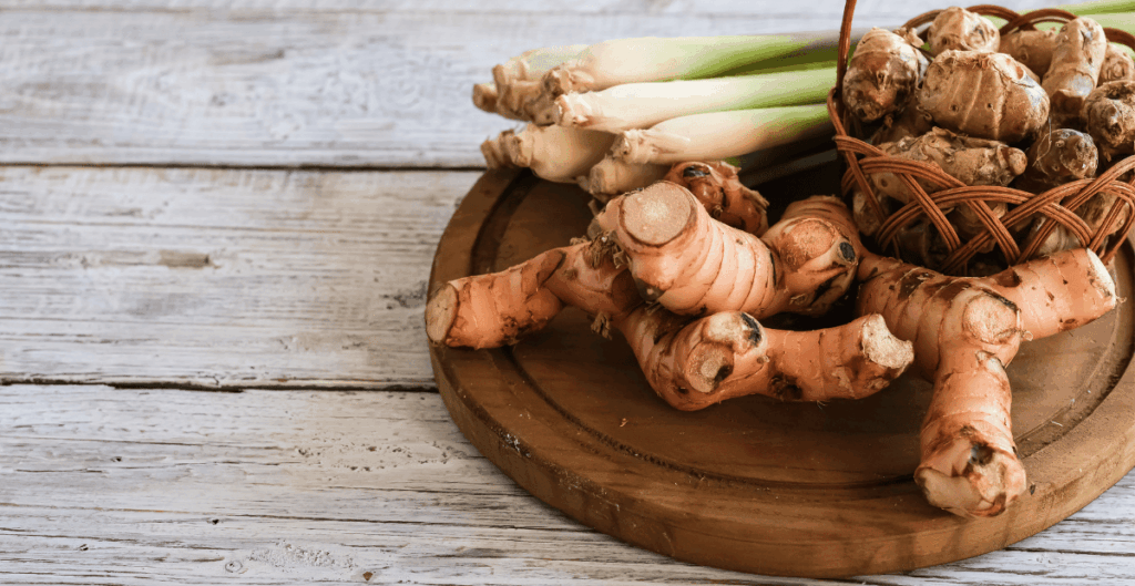 manfaat kencur untuk pencernaan