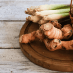 manfaat kencur untuk pencernaan