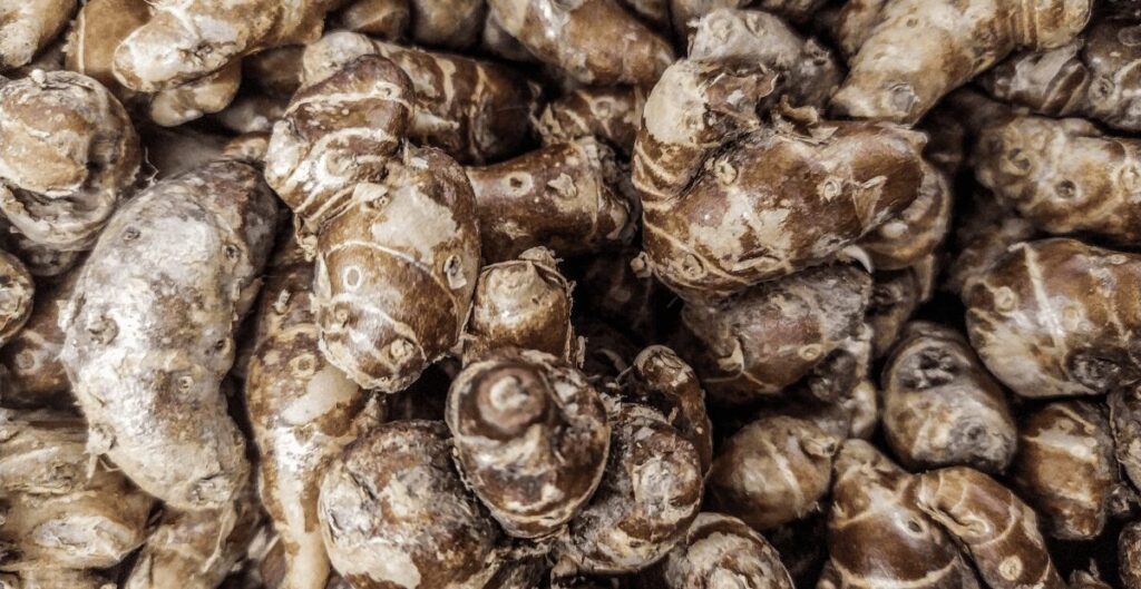 manfaat kencur untuk meningkatkan nafsu makan