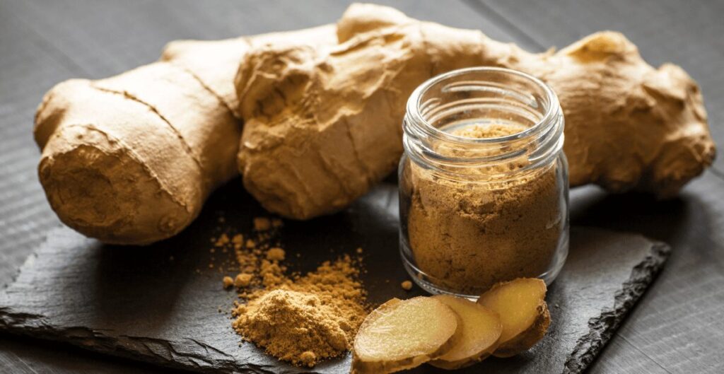 manfaat kencur untuk metabolisme tubuh