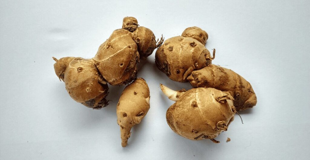 manfaat kencur untuk menjaga daya tahan tubuh