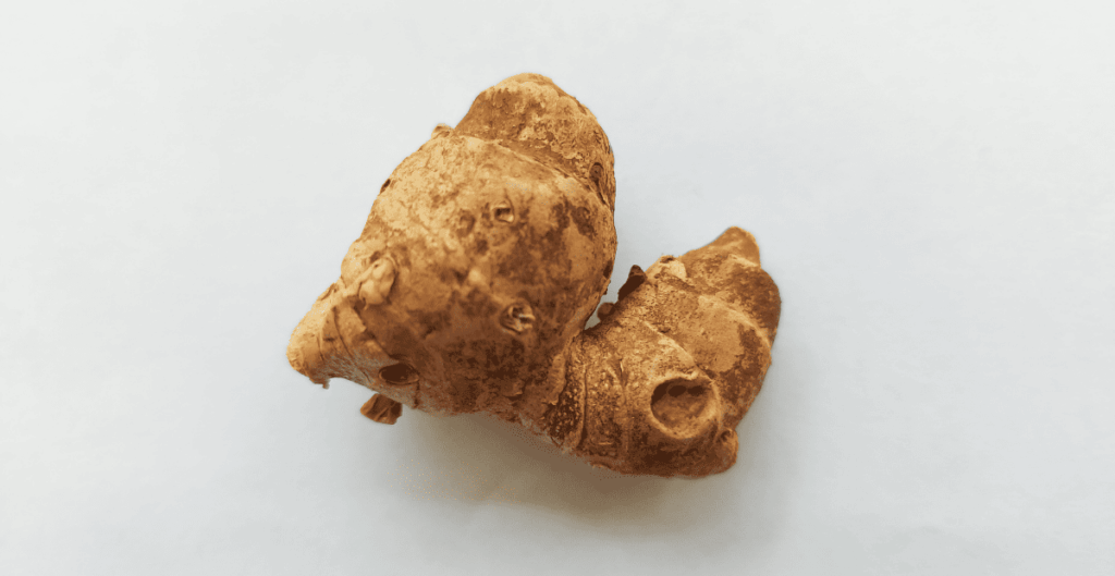 manfaat kencur untuk melancarkan pencernaan