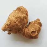 manfaat kencur untuk melancarkan pencernaan