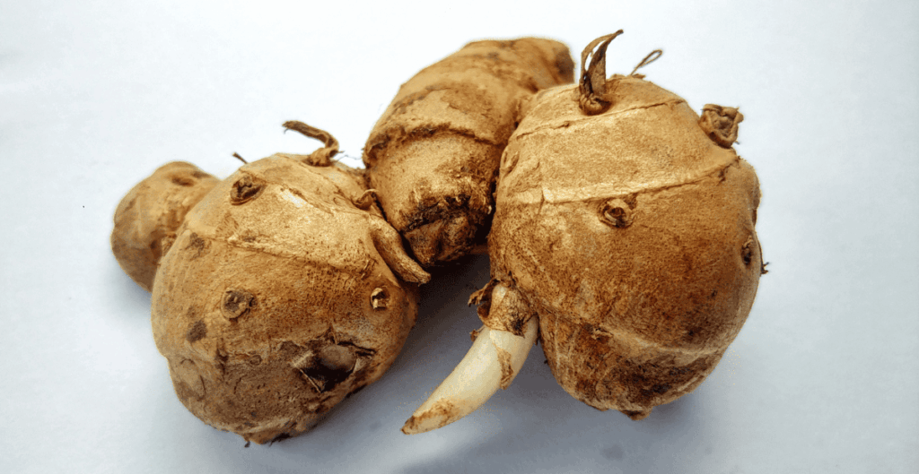 manfaat kencur untuk batuk dan flu