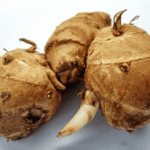 manfaat kencur untuk batuk dan flu