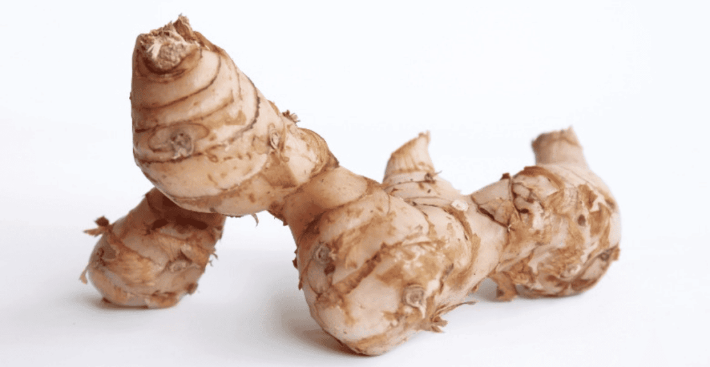 manfaat kencur untuk daya tahan tubuh