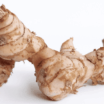 manfaat kencur untuk daya tahan tubuh