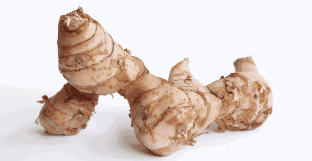 manfaat kencur untuk daya tahan tubuh