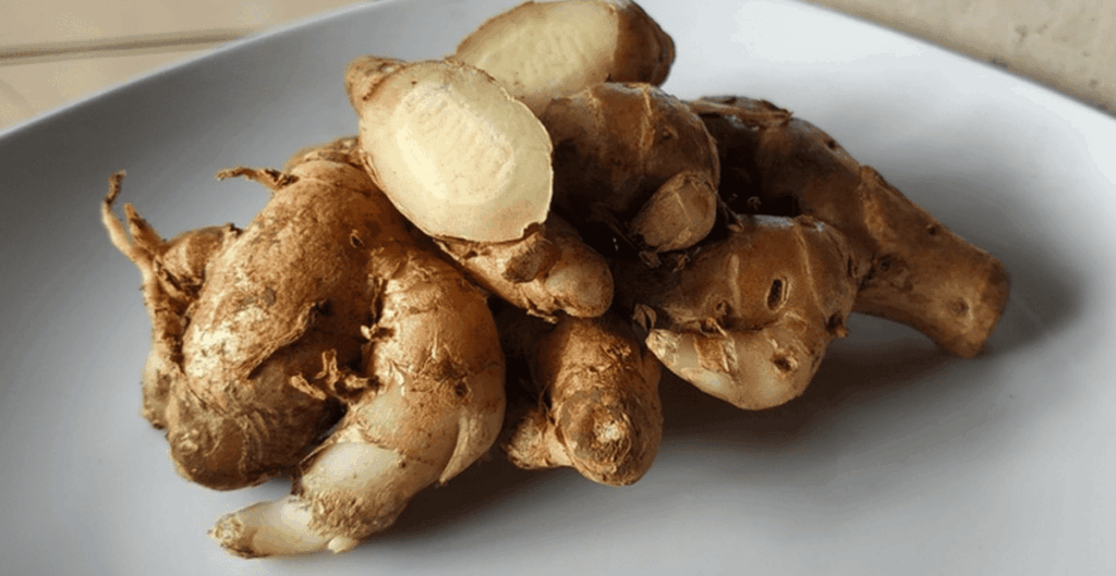 manfaat kencur untuk kesehatan secara alami