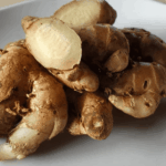 manfaat kencur untuk kesehatan secara alami