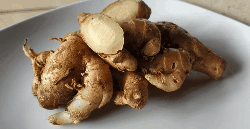 manfaat kencur untuk kesehatan secara alami