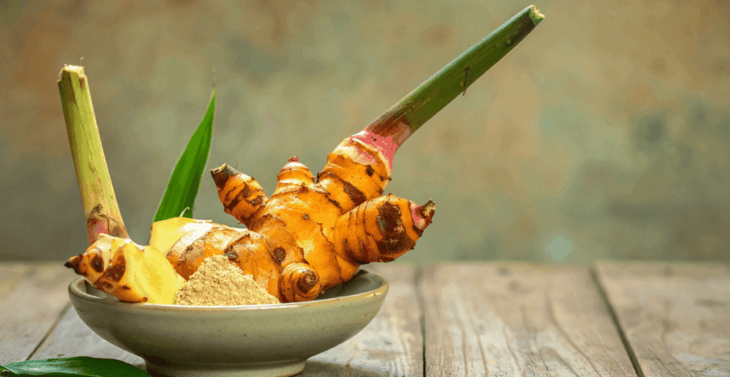 manfaat kencur sebagai suplemen herbal