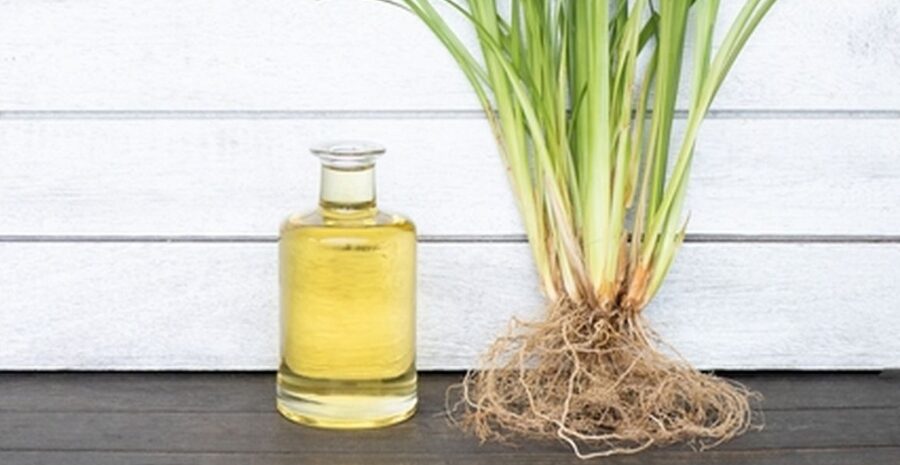 efek samping akar teki