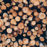 efek samping daun kayu ular