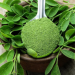 rebusan kelor merah manfaat