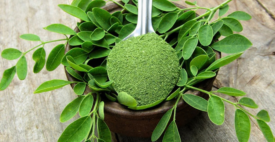 rebusan kelor merah manfaat