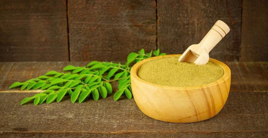 kelor merah sebagai bahan herbal