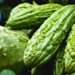 manfaat pare untuk pencernaan