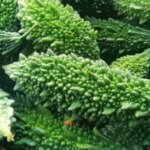 pare untuk meningkatkan imun