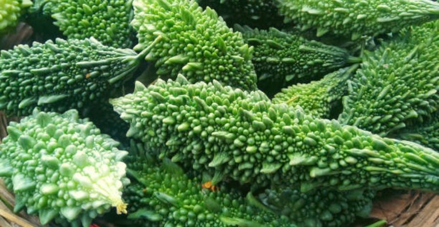 pare untuk meningkatkan imun