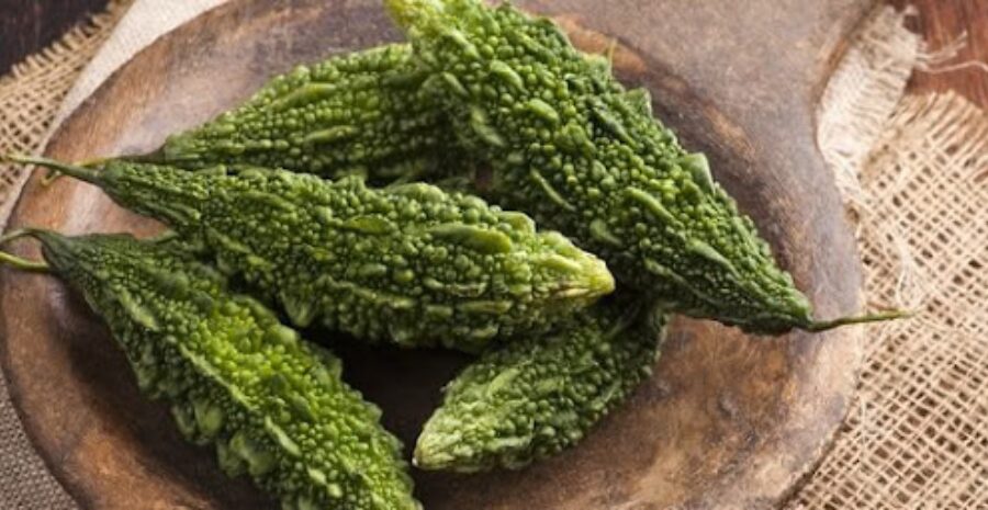 pare untuk detoksifikasi tubuh