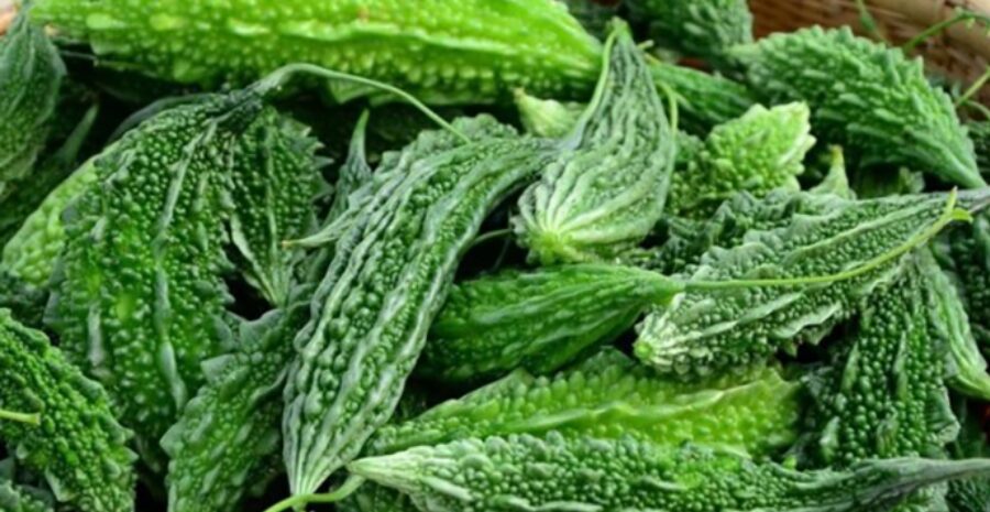 jus pare untuk kesehatan