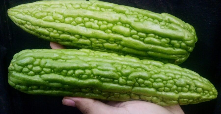 aturan makan pare harian