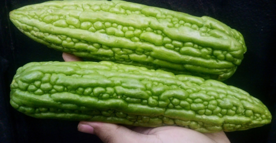 aturan makan pare harian