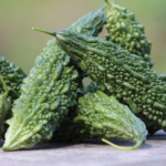 pare sebagai bahan herbal