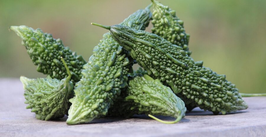 pare sebagai bahan herbal