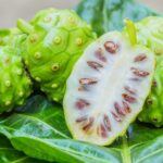 manfaat buah mengkudu