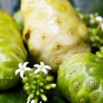 kandungan antioksidan mengkudu