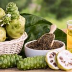 tanaman mengkudu obat tradisional