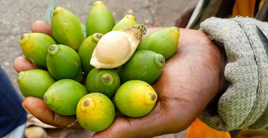 manfaat buah pinang