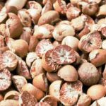 pinang untuk pencernaan