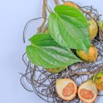 rebusan buah pinang