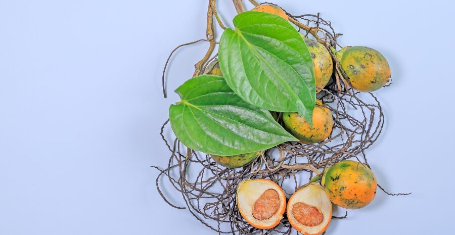 rebusan buah pinang
