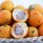 kandungan senyawa buah pinang