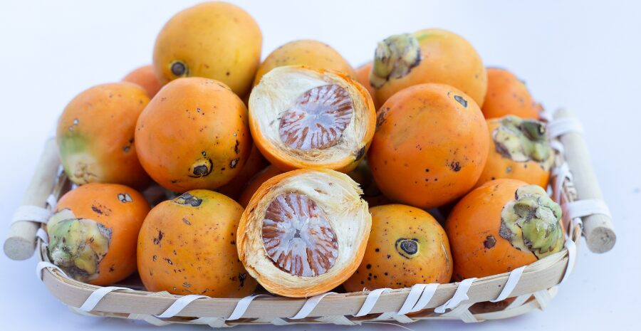 kandungan senyawa buah pinang