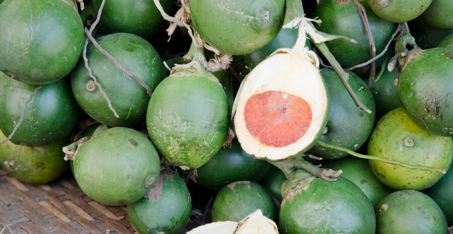 penggunaan buah pinang tradisional